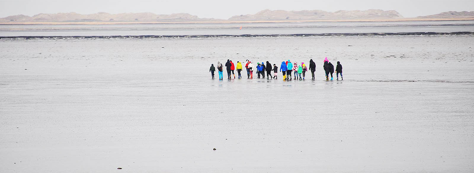 Wattwanderung an der Nordsee
